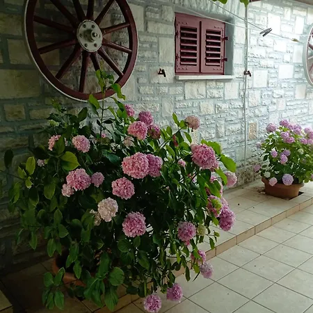Kiwi Apartment Umag
