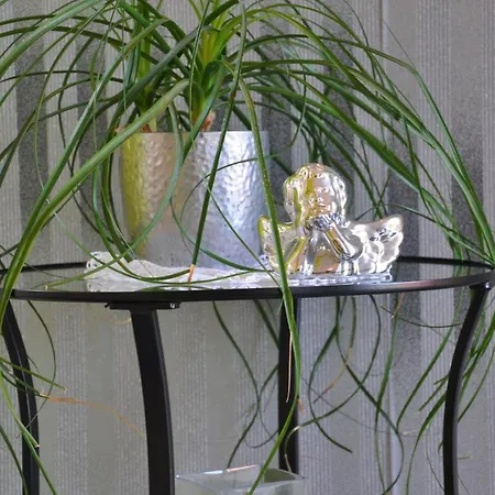 Apartman Kiwi Medulin